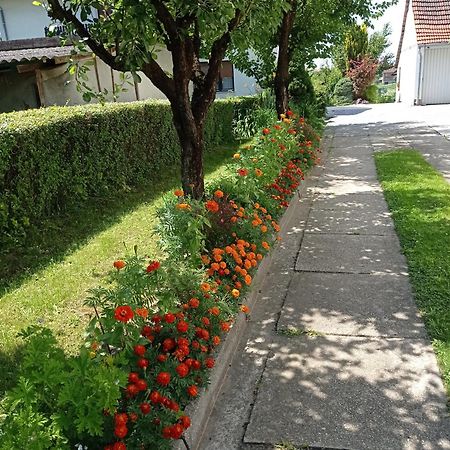 Apartman Skudar Bjelovar Dış mekan fotoğraf